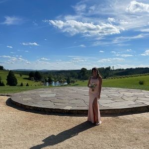 Evening gown / bridesmaid dress